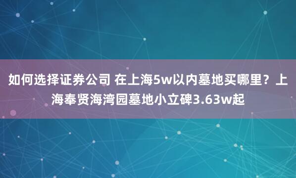 如何选择证券公司 在上海5w以内墓地买哪里？上海奉贤海湾园墓地小立碑3.63w起