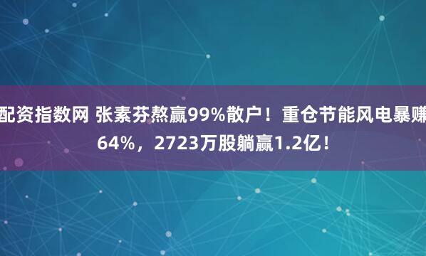 配资指数网 张素芬熬赢99%散户！重仓节能风电暴赚64%，2723万股躺赢1.2亿！