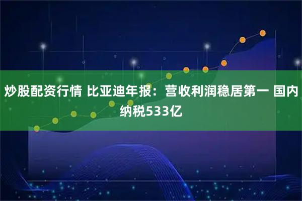 炒股配资行情 比亚迪年报：营收利润稳居第一 国内纳税533亿